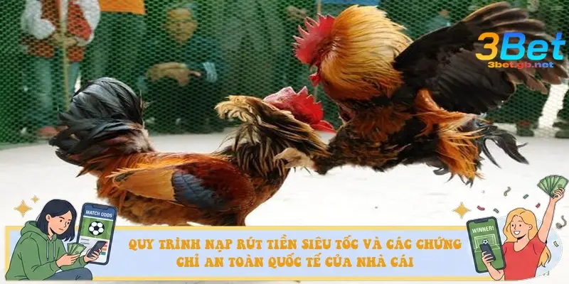 Quy trình nạp rút tiền siêu tốc và các chứng chỉ an toàn quốc tế của nhà cái