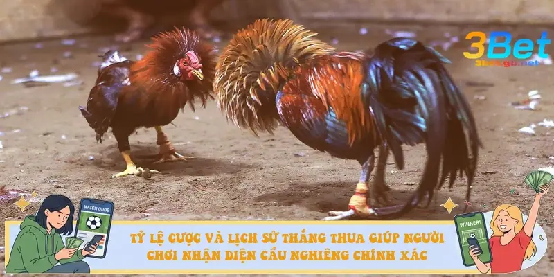 Tỷ lệ cược và lịch sử thắng thua giúp người chơi nhận diện cầu nghiêng chính xác