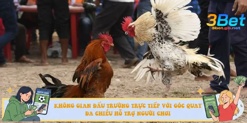 Không gian đấu trường trực tiếp với góc quay đa chiều hỗ trợ người chơi