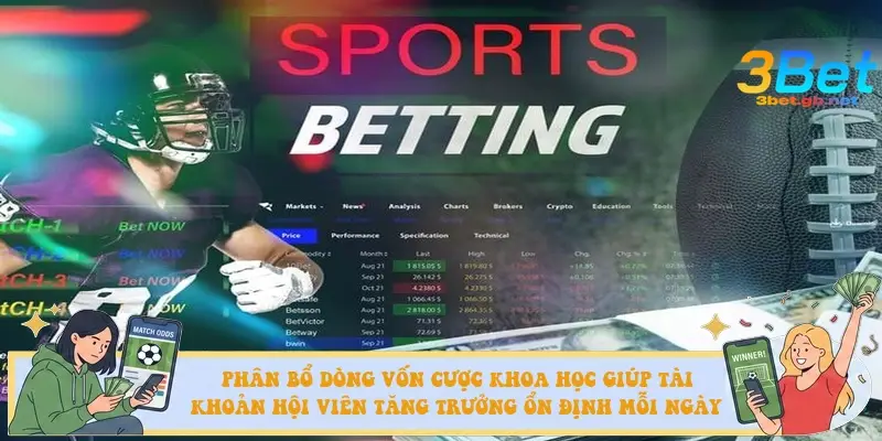 Phân bổ dòng vốn cược khoa học giúp tài khoản hội viên tăng trưởng ổn định mỗi ngày