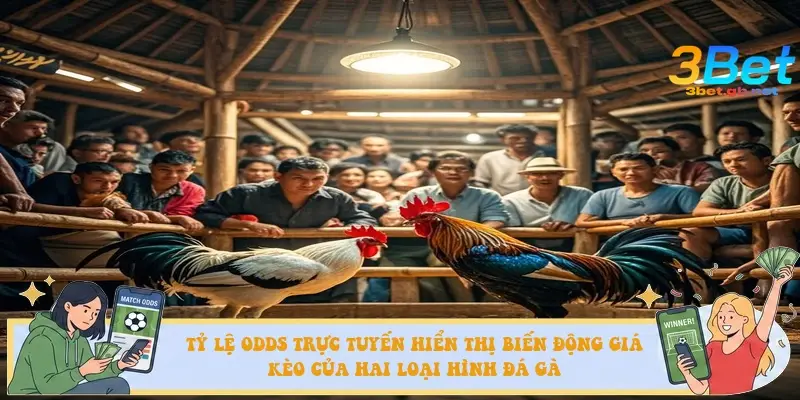 Tỷ lệ Odds trực tuyến hiển thị biến động giá kèo theo thời gian thực của hai loại hình đá gà