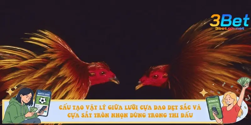 Cấu tạo vật lý giữa lưỡi cựa dao dẹt sắc và cựa sắt tròn nhọn dùng trong thi đấu