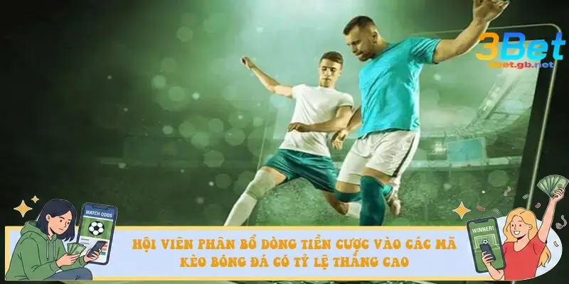 Hội viên phân bổ dòng tiền cược vào các mã kèo bóng đá có tỷ lệ thắng cao